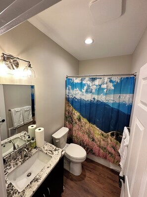 4 Downstairs Bath (4)