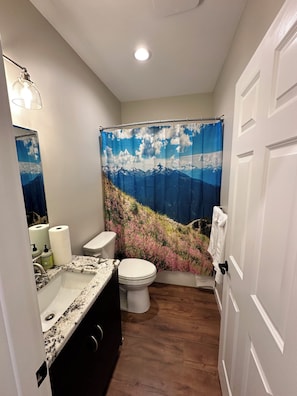4 Downstairs Bath (3)