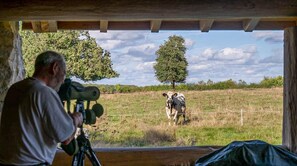 Blick von der Unterkunft