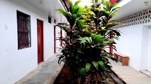 Jardin pequeño