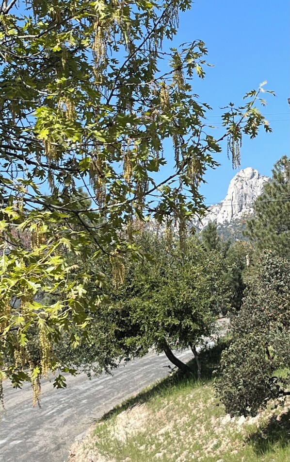Lily Rock.