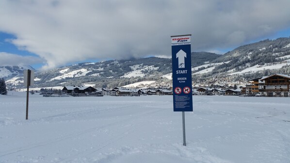 Sneeuw- en skisporten