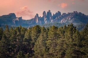 Beautiful views of the cathedral spires from your backyard!