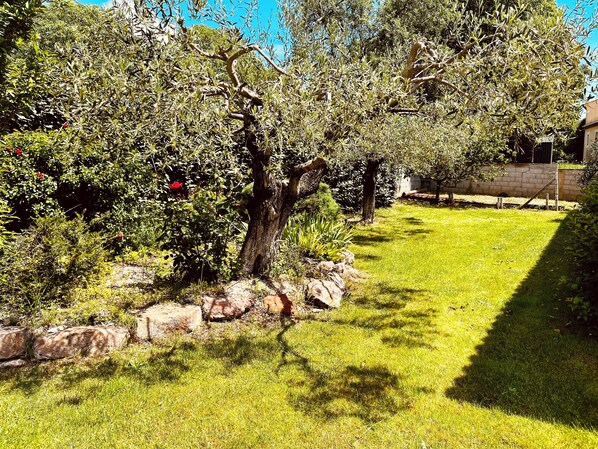 Boendeområde