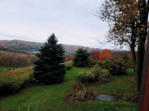 Fall Color