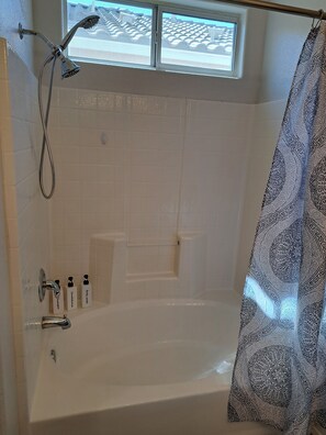 The master's shower and bathtub.