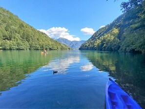 Activities, Autumn, Spring, Summer