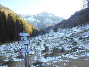 Activities, Autumn, Spring, Summer