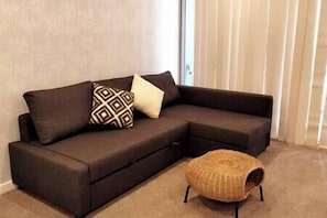Couch/ double bed size sofabed