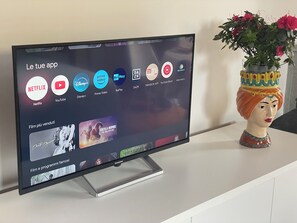 Television