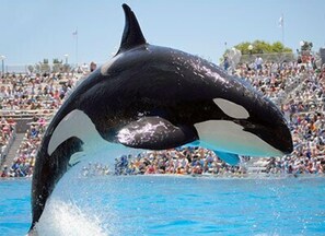 Seaworld San Diego