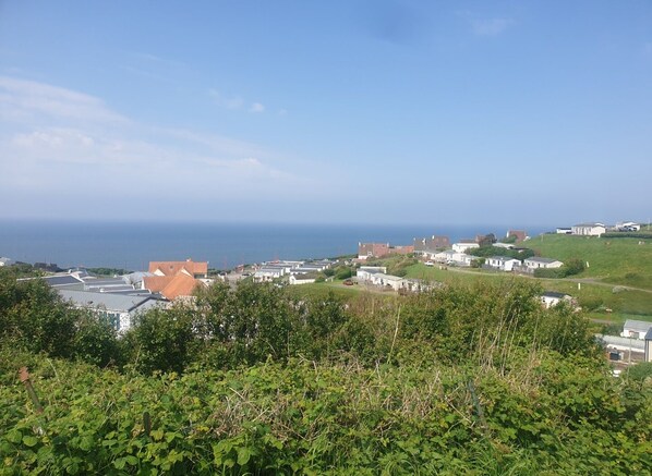 Beach/ocean view