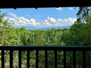 Railing, Handrail, Tree, Nature, Outdoors