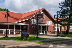 Ulkopuoli