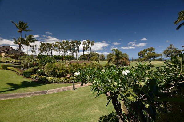 View from the lanai.