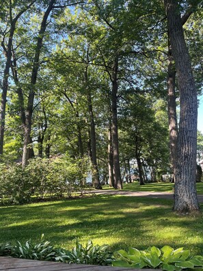 Enjoy the backyard surrounded by stately trees that allow privacy and peace. 