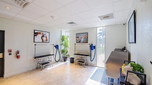 Barsala | Pet-friendly