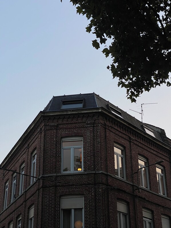 Exteriör