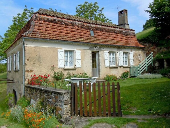 Exteriör