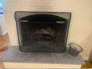 Wood Burning Fire Place