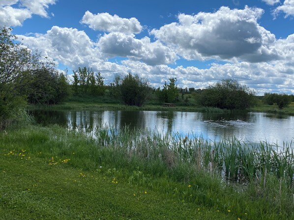 Trout Pond