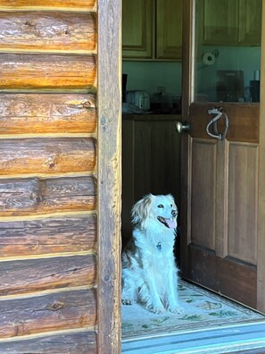 Doogan's Cabin