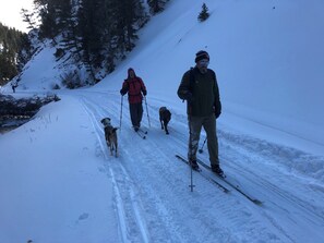 Snow and ski sports