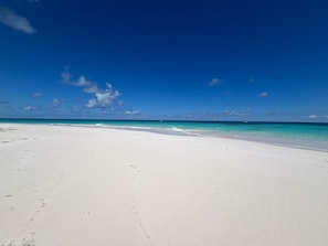 Our beach facing north.