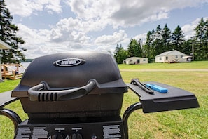 Propane BBQ