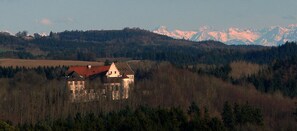 Schloss Hohenfels, (Hohenfels), LHS 11495