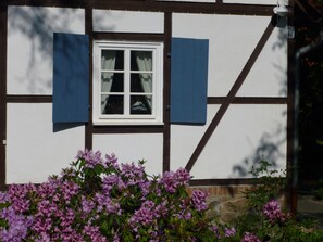 Détail de l’extérieur