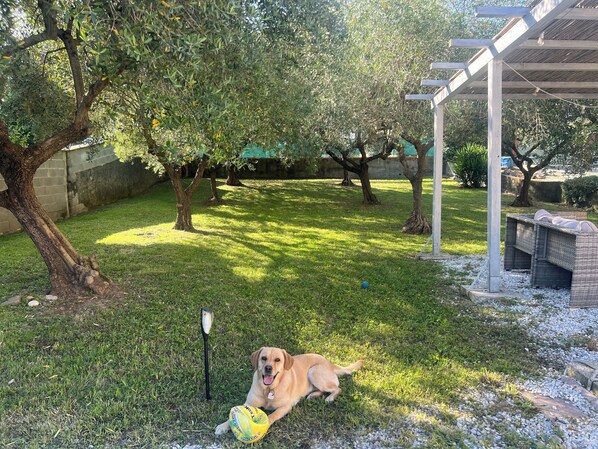 Property grounds