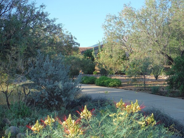 Getting ready to turn left and drive up the driveway.