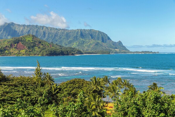 Enjoy this breathtaking view from our lanai.