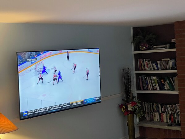 Fernseher