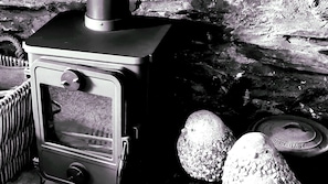 Wood burning stove