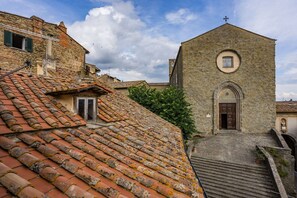 Panoramic view
