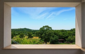 view-from-room