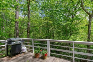 Gas grill on the wraparound deck.