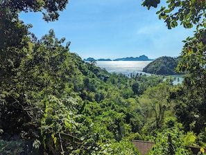 Blick vom Balkon