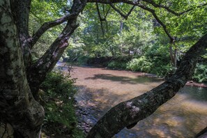 French Broad River