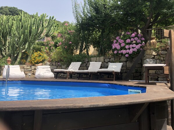 Autumn, Garden, Pool, Spring, Summer