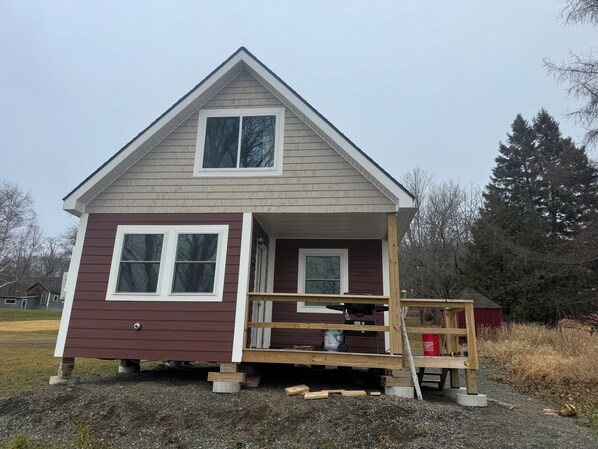 Image1