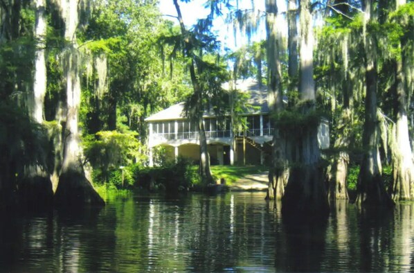 Lake view peaking through the cypress trees