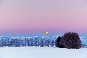 Sports d’hiver