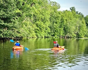 The Waldron Lake Retreat: Enjoy the best of lake life from our two provided kayaks! Very peaceful lakes & rivers!