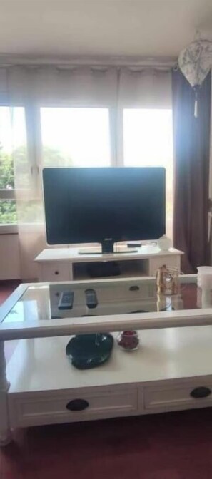 Television