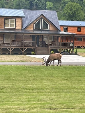 Mystery getting a snack