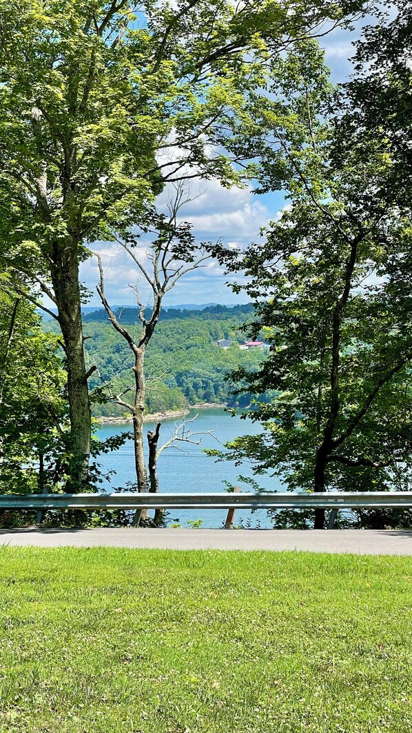 Lake view from cabin