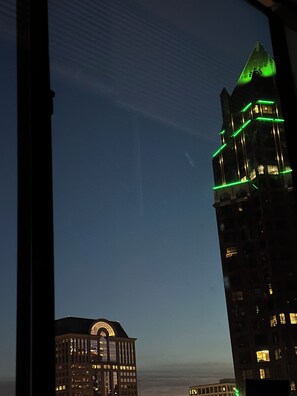 Vista desde la propiedad